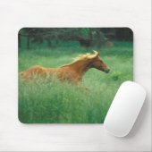 Junger Hengst läuft durch Wiese Mousepad (Mit Mouse)