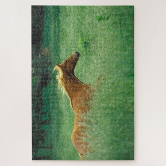 Junger Hengst läuft durch Wiese Puzzle (Vertikal)