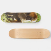 Junger jugendlicher Pavian, der sich hinsitzt und Skateboard (Horizontal)