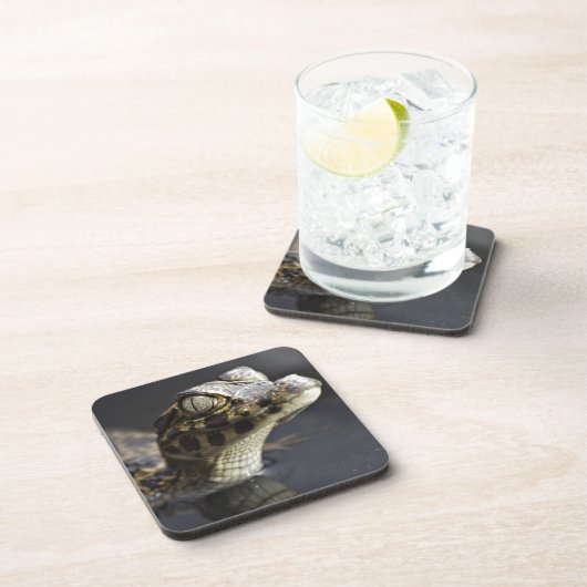 Junger Kaiman im Wasser mit Reflexion Getränkeuntersetzer (Rechte Seite)