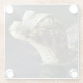 Junger Kaiman im Wasser mit Reflexion Glasuntersetzer (Rückseite)