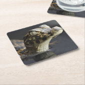 Junger Kaiman im Wasser mit Reflexion Rechteckiger Pappuntersetzer (angewinkelt)