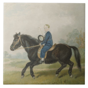 Junger Knabe auf einem Pony reitend (von Penry Wil Fliese