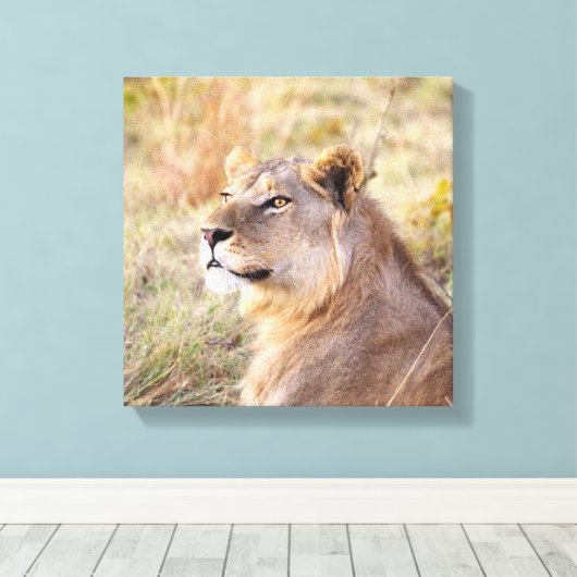 JUNGER KÖNIG DES JUNGLE PORTRAIT LEINWANDDRUCK (Insitu (Holzboden))