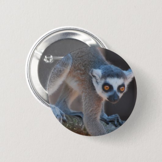 Junger Lemur-Knopf Button (Vorne & Hinten)