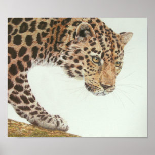 Junger Leopard-Malerei Poster