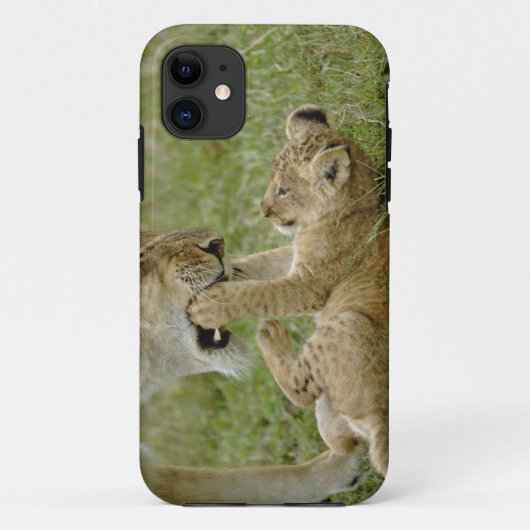 Junger Löwe spielt Case-Mate iPhone Hülle (Rückseite)