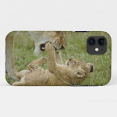 Junger Löwe spielt Case-Mate iPhone Hülle (Rückseite (Horizontal))