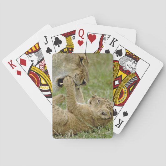 Junger Löwe spielt Spielkarten (Rückseite)