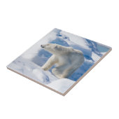Junger männlicher Eisbär Fliese (Seite)