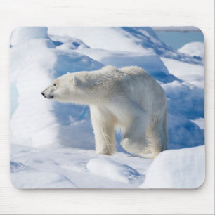 Junger männlicher Eisbär Mousepad