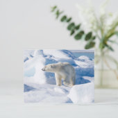 Junger männlicher Eisbär Postkarte (Stehend Vorderseite)