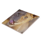 Junger männlicher Löwe Fliese (Seite)