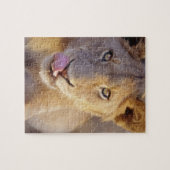 Junger männlicher Löwe Puzzle (Horizontal)