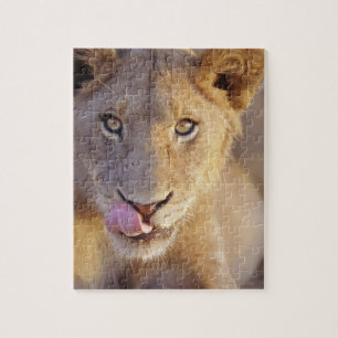 Junger männlicher Löwe Puzzle