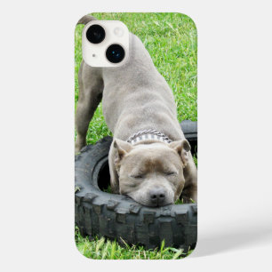 Junger männlicher Staffy spielt mit seinem Reifen, Case-Mate iPhone 14 Plus Hülle