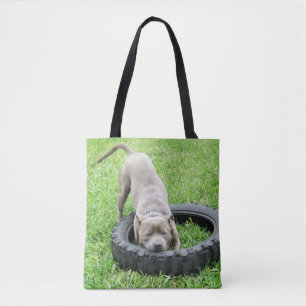 Junger männlicher Staffy spielt mit seinem Reifen, Tasche