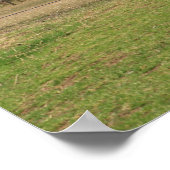 Junger Mönch und Gebetsflaggen Poster (Ecke)