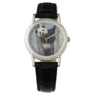 Junger Panda klettert auf einen Baum, China Armbanduhr