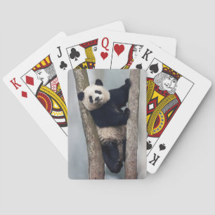 Junger Panda klettert auf einen Baum, China Spielkarten