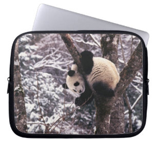 Junger Panda spielt auf einem mit Schnee bedeckten Laptopschutzhülle