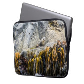 Junger Pelz Siegel auf dem Felsen Laptopschutzhülle (Vorderseite Links)