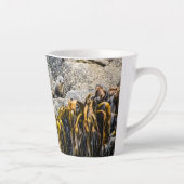 Junger Pelz Siegel auf dem Felsen Milchtasse (Rechts)