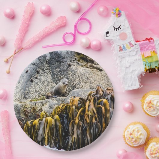 Junger Pelz Siegel auf dem Felsen Pappteller (Party)