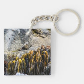 Junger Pelz Siegel auf dem Felsen Schlüsselanhänger (Rückseite)