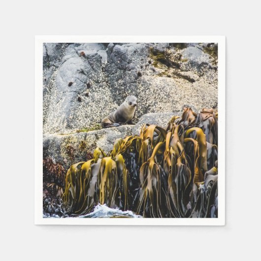 Junger Pelz Siegel auf dem Felsen Serviette (Vorderseite)