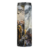 Junger Pelz Siegel auf dem Felsen Thermosbecher (Rückseite)