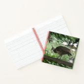 Junger Pfau mit Flamingos Notizbuch (Innenseite)