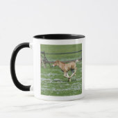 Junger Pferdebetrieb Tasse (Links)