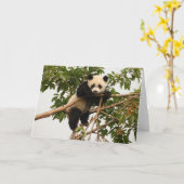 Junger riesiger Panda Karte (Gelbe Blume)