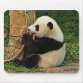 Junger riesiger Panda Mousepad (Vorne)