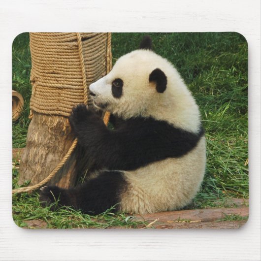 Junger riesiger Panda Mousepad (Vorne)