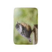 Junger Robin Badematte (Vorderseite Vertikal)