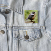 Junger Robin Button (Beispiel)