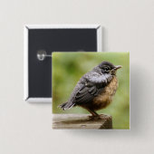 Junger Robin Button (Vorne & Hinten)
