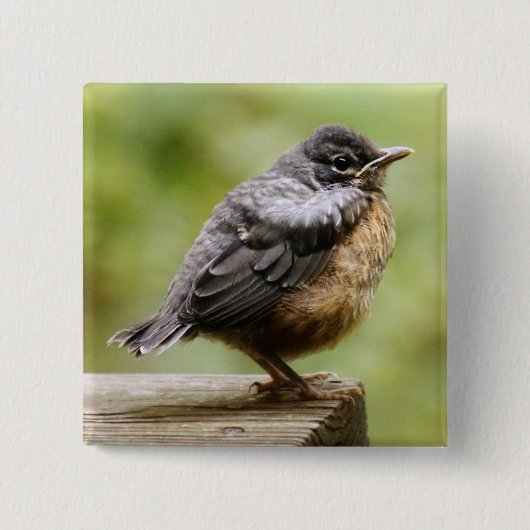 Junger Robin Button (Vorderseite)