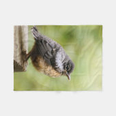 Junger Robin Fleecedecke (Vorderseite (Horizontal))