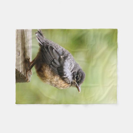 Junger Robin Fleecedecke (Vorderseite (Horizontal))