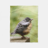 Junger Robin Fleecedecke (Vorderseite)