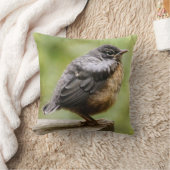 Junger Robin Kissen (Decke)