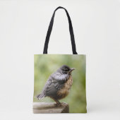 Junger Robin Tasche (Vorderseite)