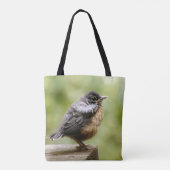 Junger Robin Tasche (Rückseite)