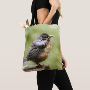 Junger Robin Tasche