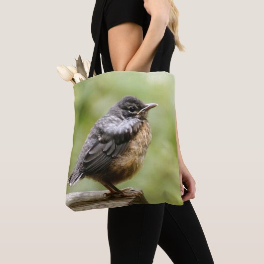 Junger Robin Tasche (Von Nahem)
