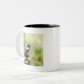 Junger Robin Zweifarbige Tasse (Vorderseite Links)