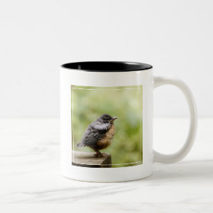 Junger Robin Zweifarbige Tasse